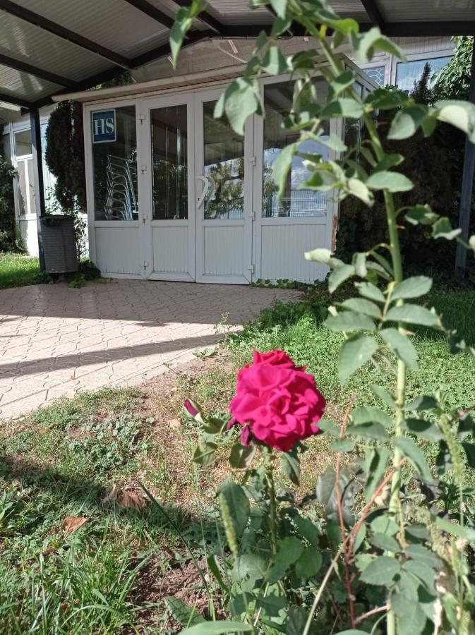 Hostal Brin Monreal del Campo Ngoại thất bức ảnh
